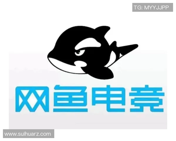 电竞比赛赞助商图标-电竞比赛中赞商的彰显实力 看赞助商图标如何点燃激情之火-电竞比赛赞助商图标